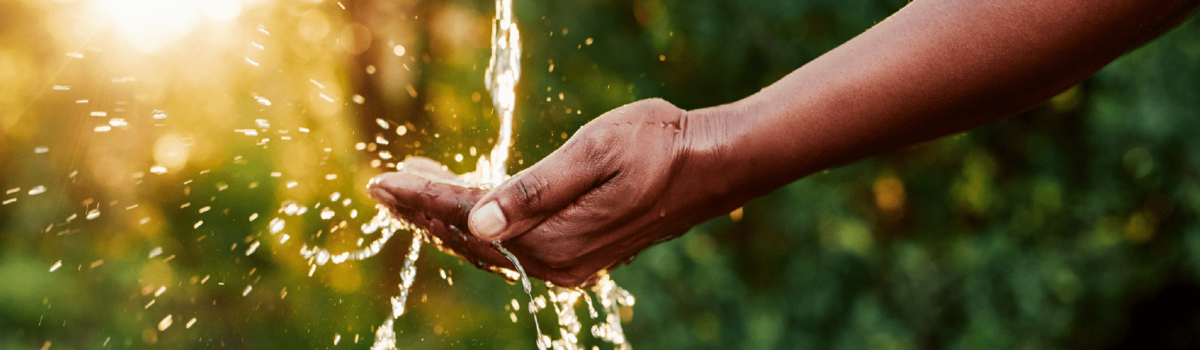 Gestión eficiente del agua en la agricultura: Consejos para los agricultores