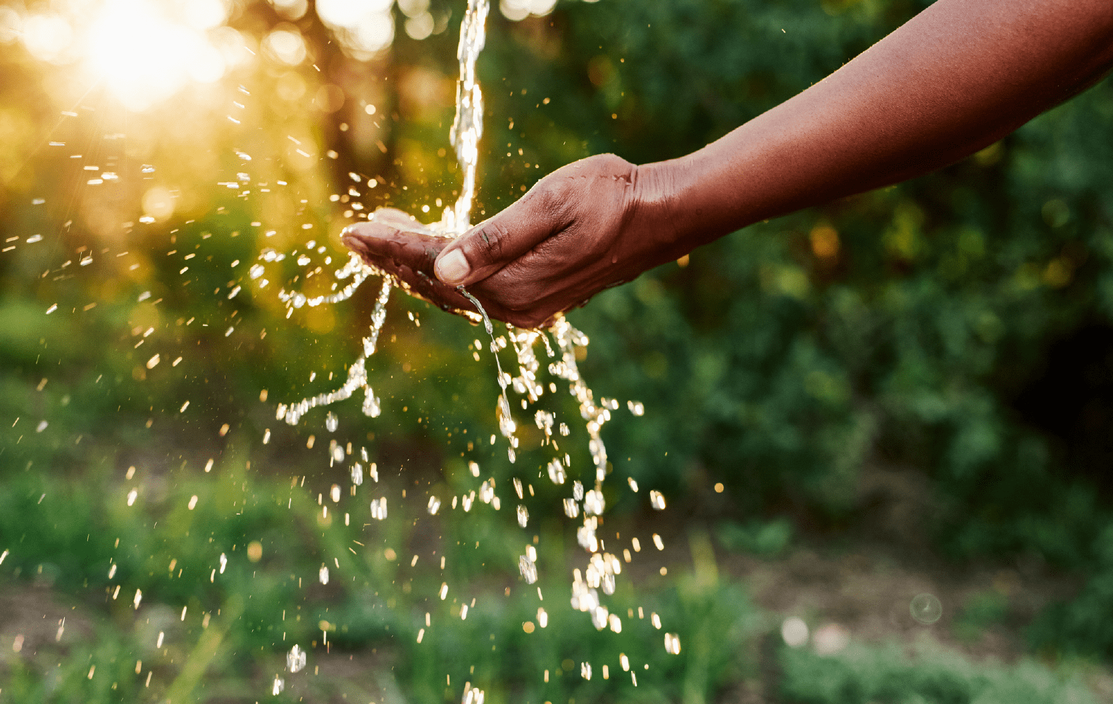 Consejos para los agricultores