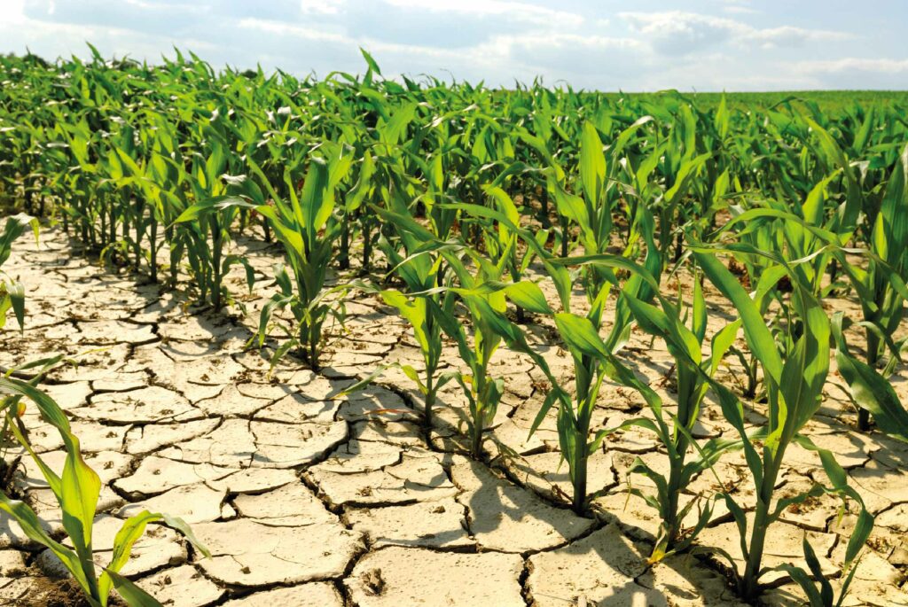 las repercusiones de la escasez de agua