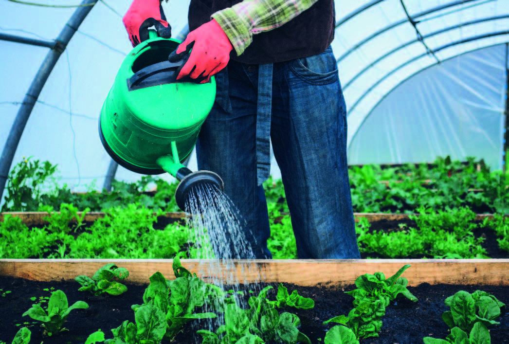 almacenamiento de agua de lluvia para riego