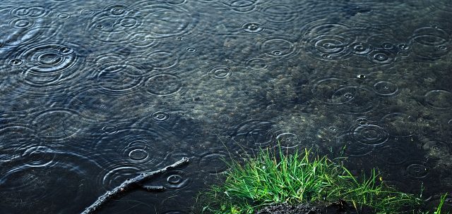 El sistema de captación de agua pluvial tiene muchos beneficios, además de almacenar agua ayuda en el uso y aprovechamiento del recurso, así como en la distribución y consumo del agua en el hogar