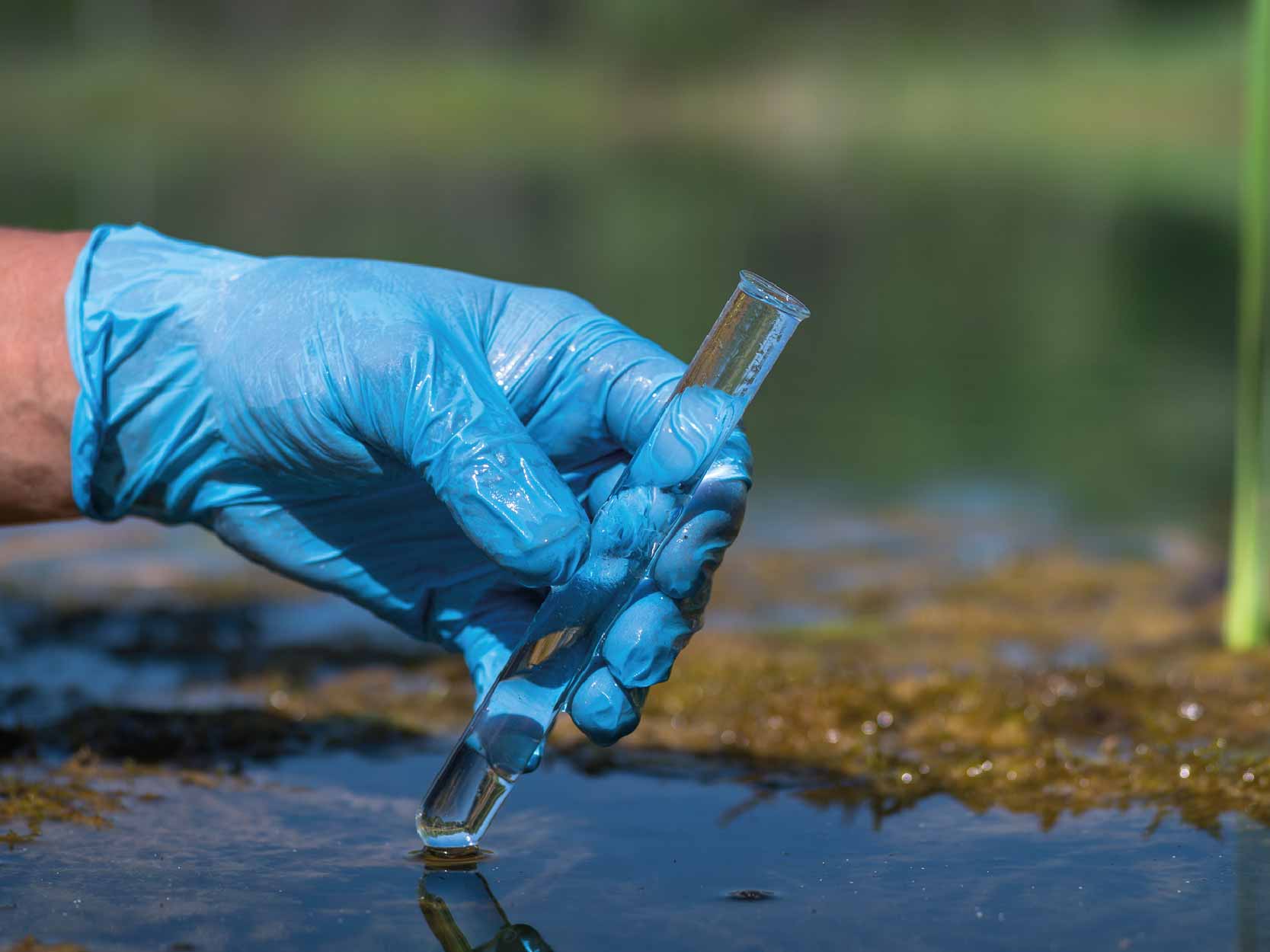 agua contaminada benito juarez